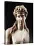 Bust of Dionysus, Copy from Greek Original by Praxiteles-null-Stretched Canvas