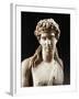 Bust of Dionysus, Copy from Greek Original by Praxiteles-null-Framed Giclee Print