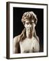 Bust of Dionysus, Copy from Greek Original by Praxiteles-null-Framed Giclee Print