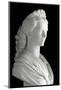 Bust of Elisabeth (Sisi) of Wittelsbach, Marble Sculpture-null-Mounted Photographic Print