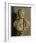 Bust of Emperor Hadrian-Roman-Framed Giclee Print