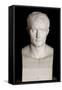 Bust of Emperor Napoleon I-Antoine Denis Chaudet-Framed Stretched Canvas