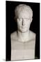 Bust of Emperor Napoleon I-Antoine Denis Chaudet-Mounted Photographic Print