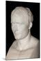 Bust of Emperor Napoleon I-Antoine Denis Chaudet-Mounted Photographic Print