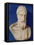 Bust of Epicurus-null-Framed Stretched Canvas