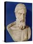 Bust of Epicurus-null-Stretched Canvas