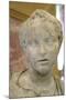 Bust of Eros, 2nd Century-Lysippos-Mounted Photographic Print