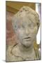 Bust of Eros, 2nd Century-Lysippos-Mounted Photographic Print