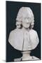 Bust of Francois Marie Arouet De Voltaire (1694-1778) 1778-Jean-Antoine Houdon-Mounted Giclee Print