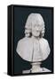 Bust of Francois Marie Arouet De Voltaire (1694-1778) 1778-Jean-Antoine Houdon-Framed Stretched Canvas