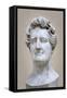 Bust of Georges Cuvier (1769-1832) (Marble)-Pierre Jean David d'Angers-Framed Stretched Canvas