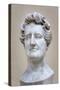 Bust of Georges Cuvier (1769-1832) (Marble)-Pierre Jean David d'Angers-Stretched Canvas