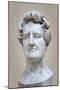 Bust of Georges Cuvier (1769-1832) (Marble)-Pierre Jean David d'Angers-Mounted Giclee Print