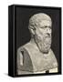 Bust of Grecian Philosopher Plato-null-Framed Stretched Canvas