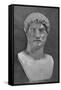 Bust of Hadrian-null-Framed Stretched Canvas