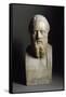 Bust of Herodotus, Marble Sculpture-null-Framed Stretched Canvas