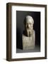 Bust of Herodotus, Marble Sculpture-null-Framed Photographic Print