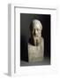 Bust of Herodotus, Marble Sculpture-null-Framed Photographic Print