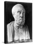 Bust of Hippocrates-null-Stretched Canvas