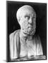 Bust of Hippocrates-null-Mounted Giclee Print