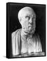 Bust of Hippocrates-null-Framed Stretched Canvas