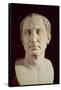 Bust of Julius Caesar (100-44 BC)-null-Framed Stretched Canvas