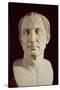 Bust of Julius Caesar (100-44 BC)-null-Stretched Canvas