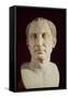 Bust of Julius Caesar (100-44 BC)-null-Framed Stretched Canvas