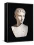 Bust of Julius Caesar as Boy, from Leiden, Netherlands B.C.-null-Framed Stretched Canvas
