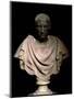 Bust of Julius Caesar-null-Mounted Premium Giclee Print