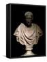 Bust of Julius Caesar-null-Framed Stretched Canvas