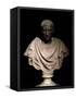 Bust of Julius Caesar-null-Framed Stretched Canvas