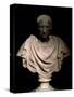 Bust of Julius Caesar-null-Stretched Canvas