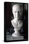 Bust of Julius Caesar-null-Stretched Canvas