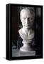 Bust of Julius Caesar-null-Framed Stretched Canvas