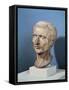 Bust of Julius Caesar-null-Framed Stretched Canvas