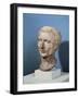 Bust of Julius Caesar-null-Framed Giclee Print