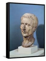 Bust of Julius Caesar-null-Framed Stretched Canvas