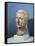 Bust of Julius Caesar-null-Framed Stretched Canvas