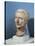 Bust of Julius Caesar-null-Stretched Canvas