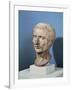 Bust of Julius Caesar-null-Framed Giclee Print