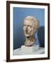 Bust of Julius Caesar-null-Framed Giclee Print