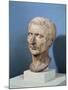 Bust of Julius Caesar-null-Mounted Giclee Print