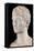 Bust of Louis Bonaparte-Pierre Cartellier-Framed Stretched Canvas