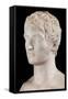 Bust of Louis Bonaparte-Pierre Cartellier-Framed Stretched Canvas