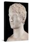 Bust of Louis Bonaparte-Pierre Cartellier-Stretched Canvas