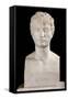 Bust of Louis Bonaparte-Pierre Cartellier-Framed Stretched Canvas