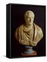 Bust of Marcus Tullius Cicero-Roman-Framed Stretched Canvas