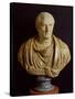 Bust of Marcus Tullius Cicero-Roman-Stretched Canvas