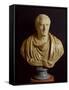 Bust of Marcus Tullius Cicero-Roman-Framed Stretched Canvas